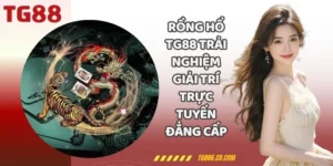 Rồng Hổ TG88 Trải Nghiệm Giải Trí Trực Tuyến Đẳng Cấp